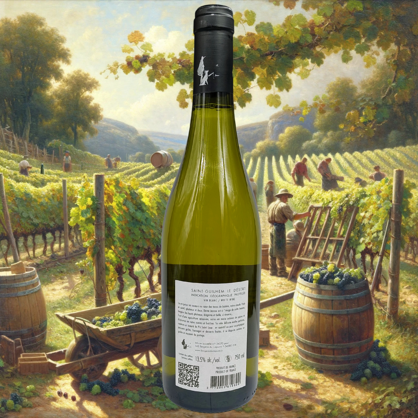 Bergerie du Capucin - Dame Jeanne Blanc - 2023 - Vin de Saint-Guilhem Le Désert