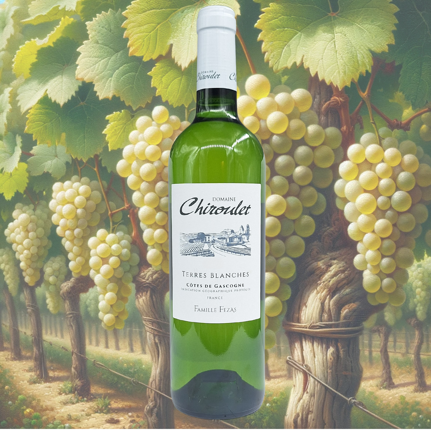 Domaine Chiroulet - Terres Blanches - Blanc - 2023 - Vin de Côtes de Gascogne