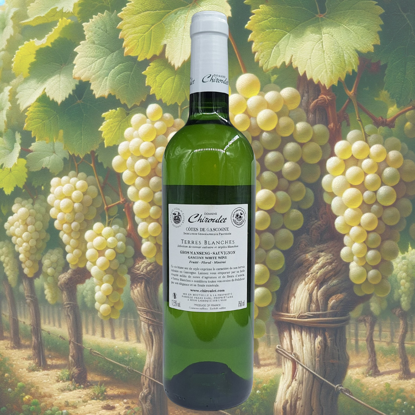 Domaine Chiroulet - Terres Blanches - Blanc - 2023 - Vin de Côtes de Gascogne