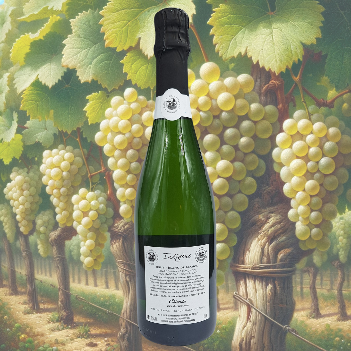 Domaine Chiroulet - Indigène Brut Blanc de Blanc - Blanc Pétillant Naturel - 2023 - Vin de Côtes de Gascogne