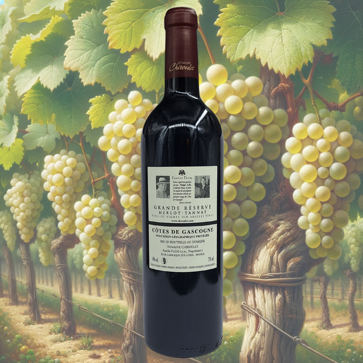 Domaine Chiroulet - Grande Réserve - Rouge- 2020 - Vin de Côtes de Gascogne