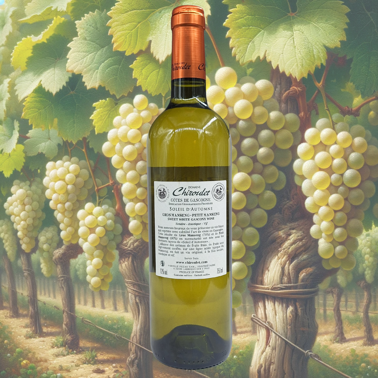 Domaine Chiroulet - Soleil D'Automne - Blanc Moelleux - 2023 - Vin de Côtes de Gascogne