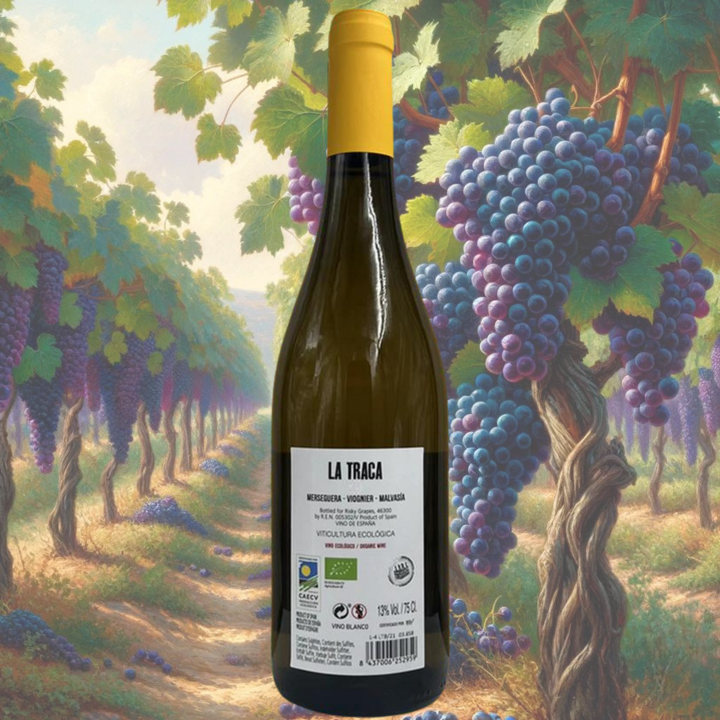 Bodega Mustiguillo - La Traca Blanco - 2022 - Valencia - Vin d'Espagne