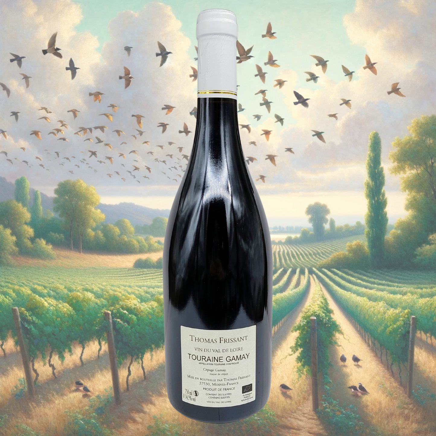 Thomas Frissant - Les Rosiers - 2022 - Vin de Touraine Gamay