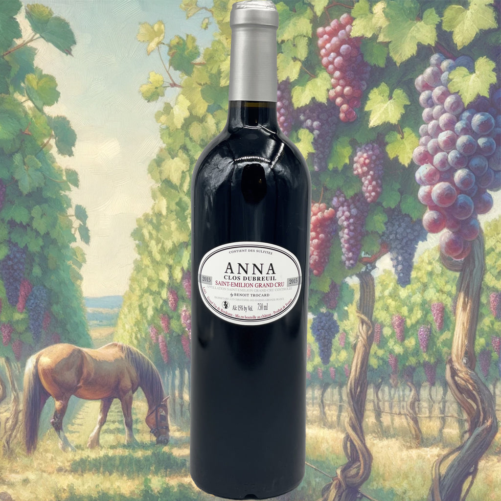 Clos Dubreuil - Anna - 2013 - Vin de Saint-Emilion Grand Cru