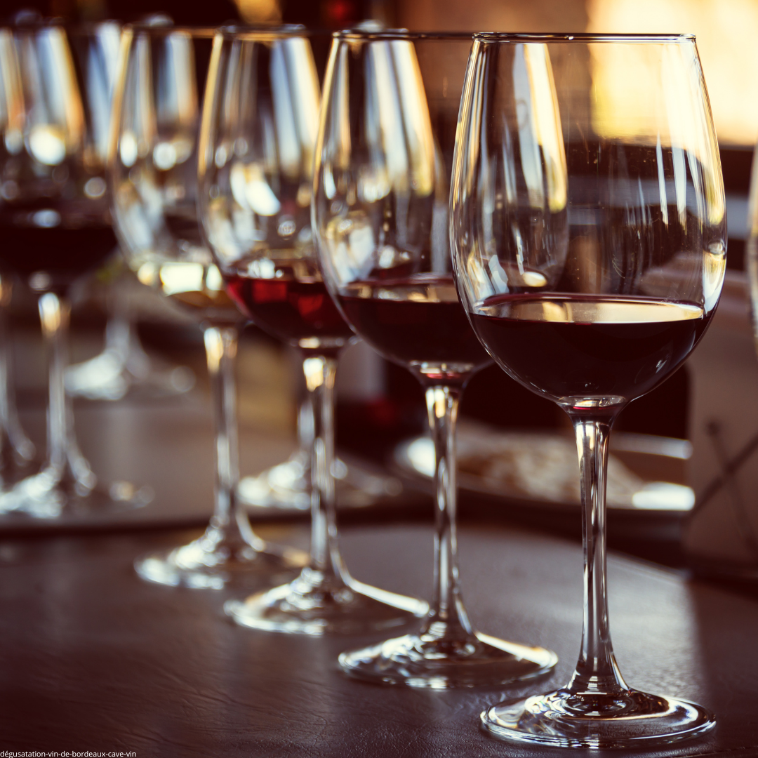 Partez à la découverte des vins de Bordeaux