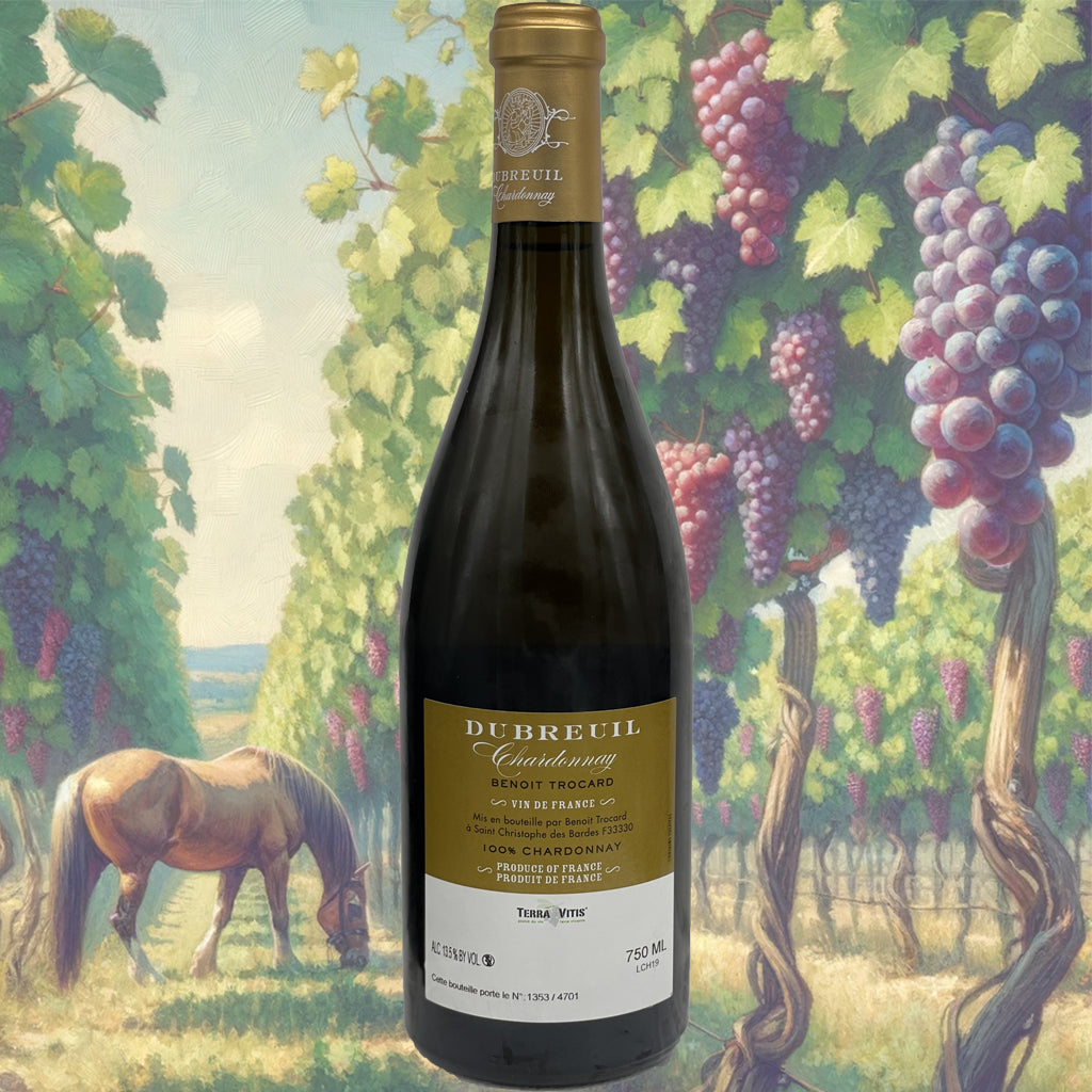 Clos Dubreuil - Chardonnay - 2019 - Vin de France