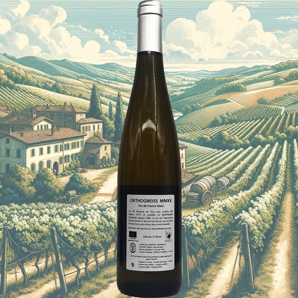 Domaine de l'Ecu - Orthogneiss MMXX - 2020 - Vin de France