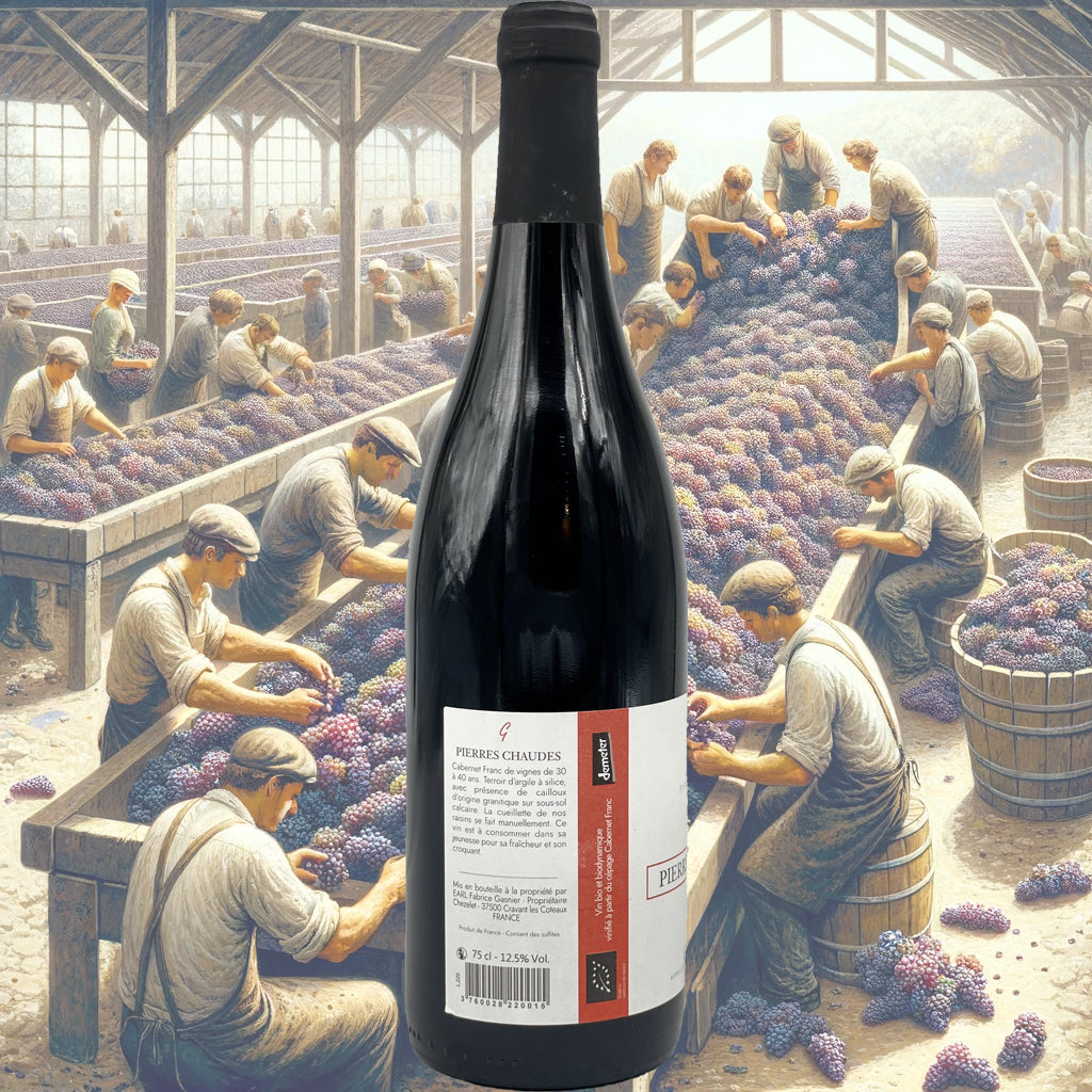 Fabrice Gasnier - Pierres Chaudes - 2022 - Vin de Chinon