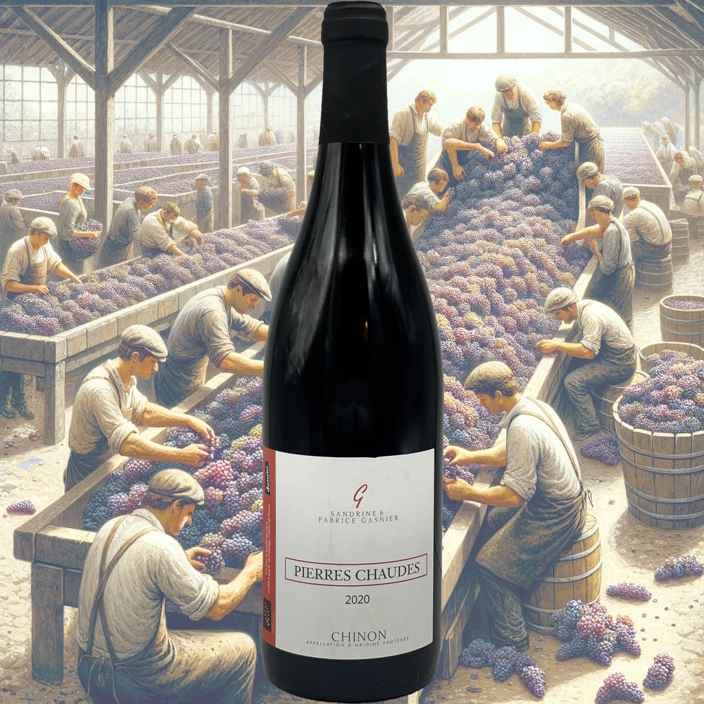 Fabrice Gasnier - Pierres Chaudes - 2022 - Vin de Chinon