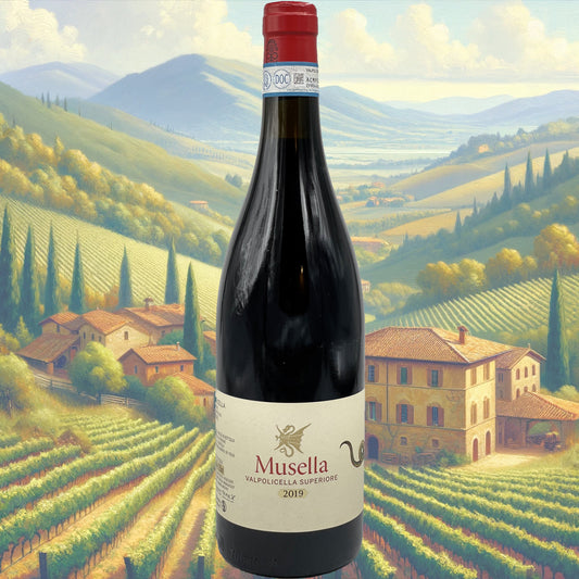 Musella - 2019 - Valpolicella DOC - Vin d'Italie