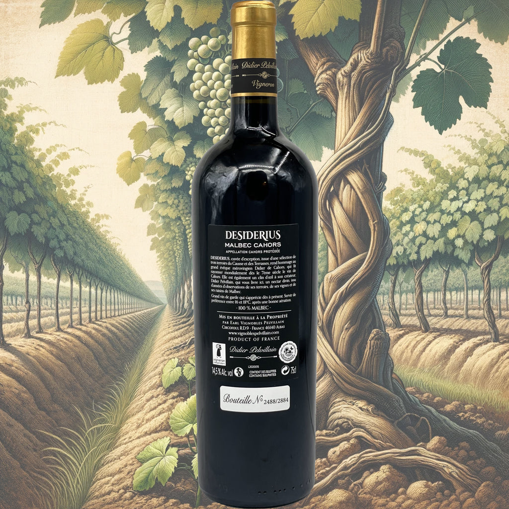 Didier Pelvillain - Desiderius - 2020 - Vin de Cahors