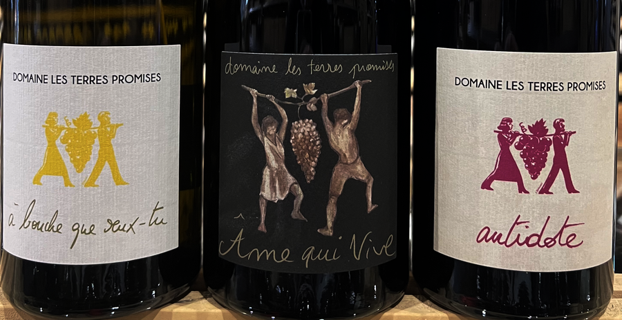 Les vins de Bandol : une sélection incontournable d’un grand terroir