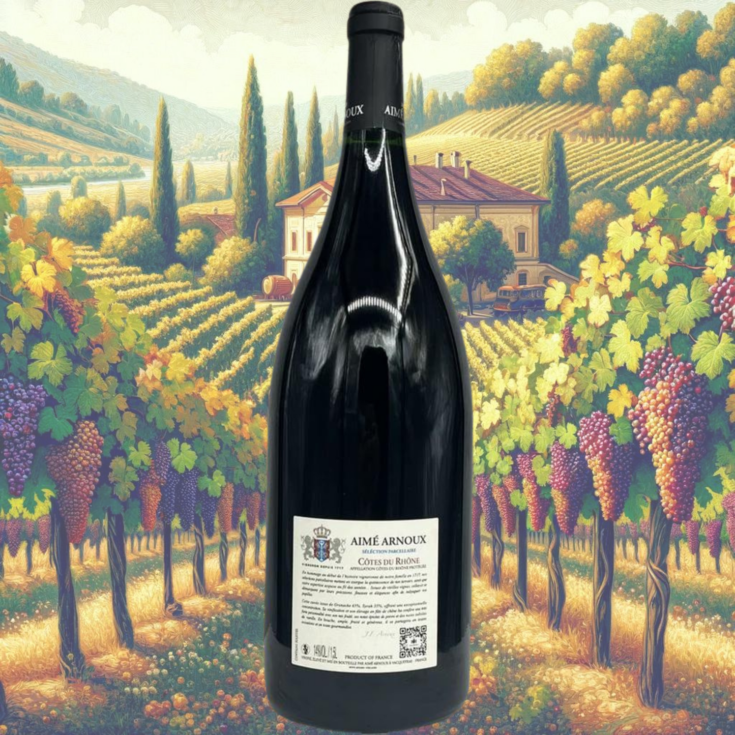 Aimé Arnoux - Côtes du Rhône - 2020 - Magnum - Vin de Côtes du Rhône