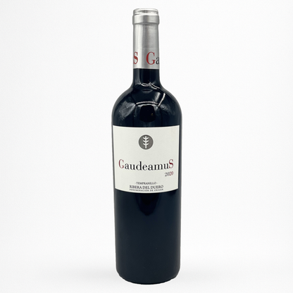 Bouteille de Gaudeamus Bodega Hermanos del Villar, Ribera del Duero, vin rouge d’Espagne, vue de face sur fond blanc