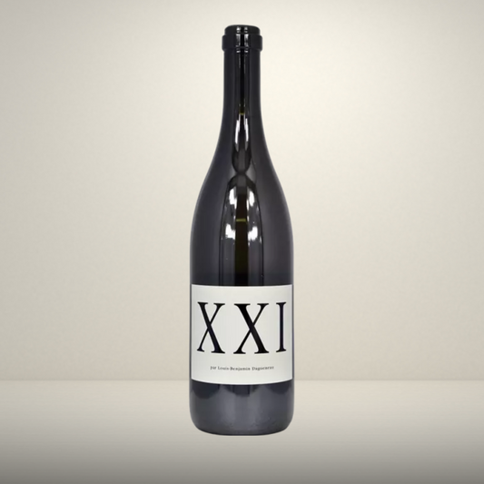 Domaine Didier Dagueneau - Vin de France XX1 - 2021 - Vin de Loire