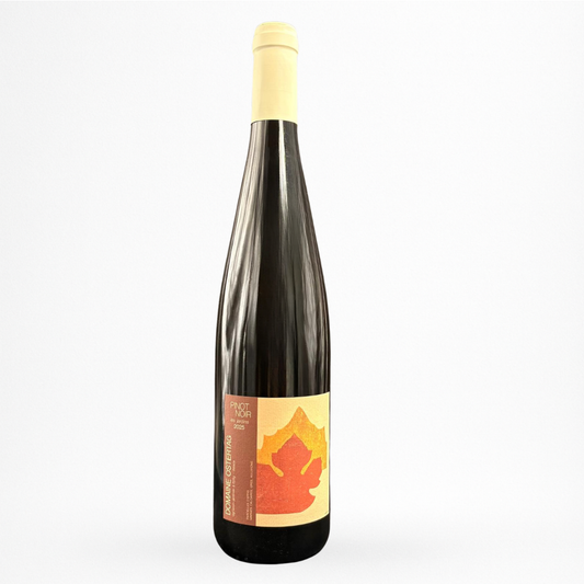 Bouteille du Pinot Noir 2024 du Domaine Ostertag