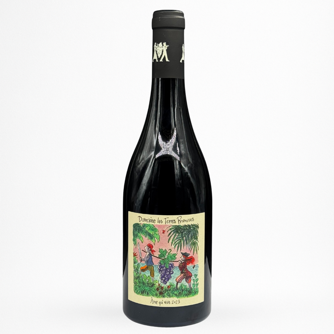 Bouteille de vin Domaine les Terres Promises Âme qui vive 2023 Vin de France

