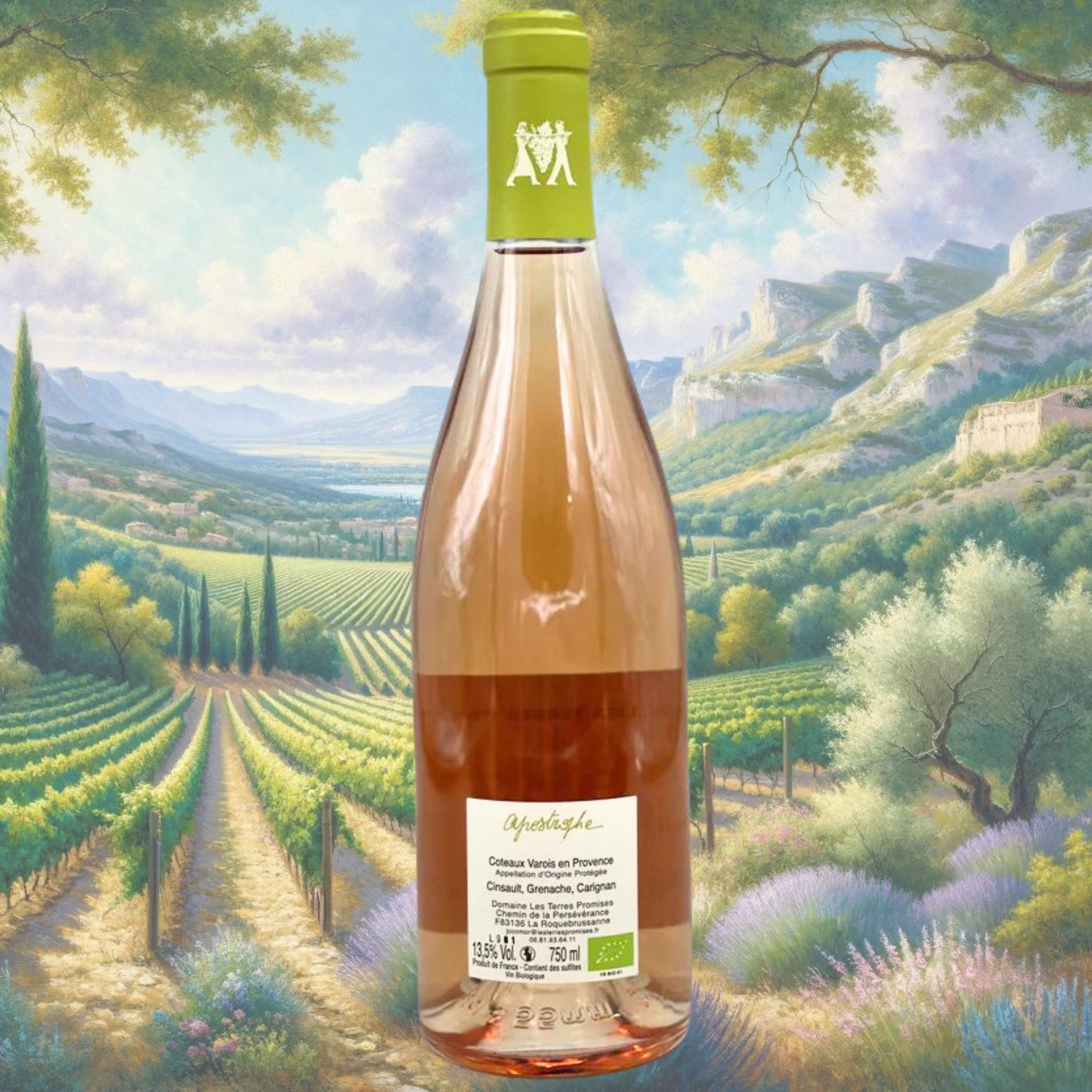 Domaine Les Terres Promises - Apostrophe Rosé - 2022 - Vin des Coteaux Varois en Provence