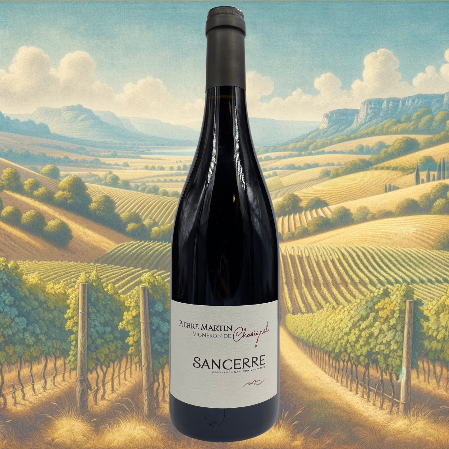 Domaine Pierre Martin - Rouge - 2021 - Vin de Sancerre