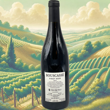 Château Bouscassé - Pinot Noir - 2017 - Vin de France