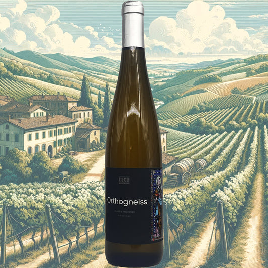 Domaine de l'Ecu - Orthogneiss MMXX - 2020 - Vin de France