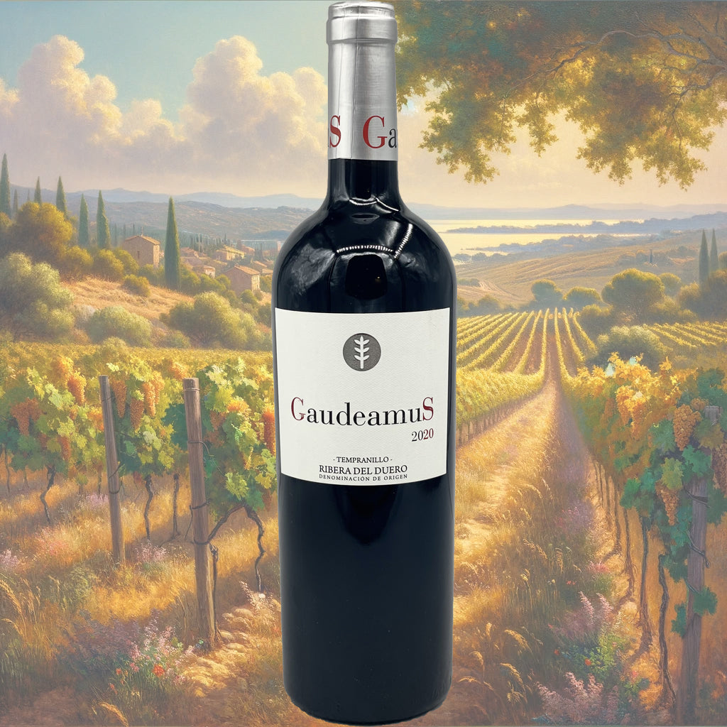 Bodega Hermanos del Villar - Gaudeamus - 2021 - Ribera Del Duero - Vin d'Espagne