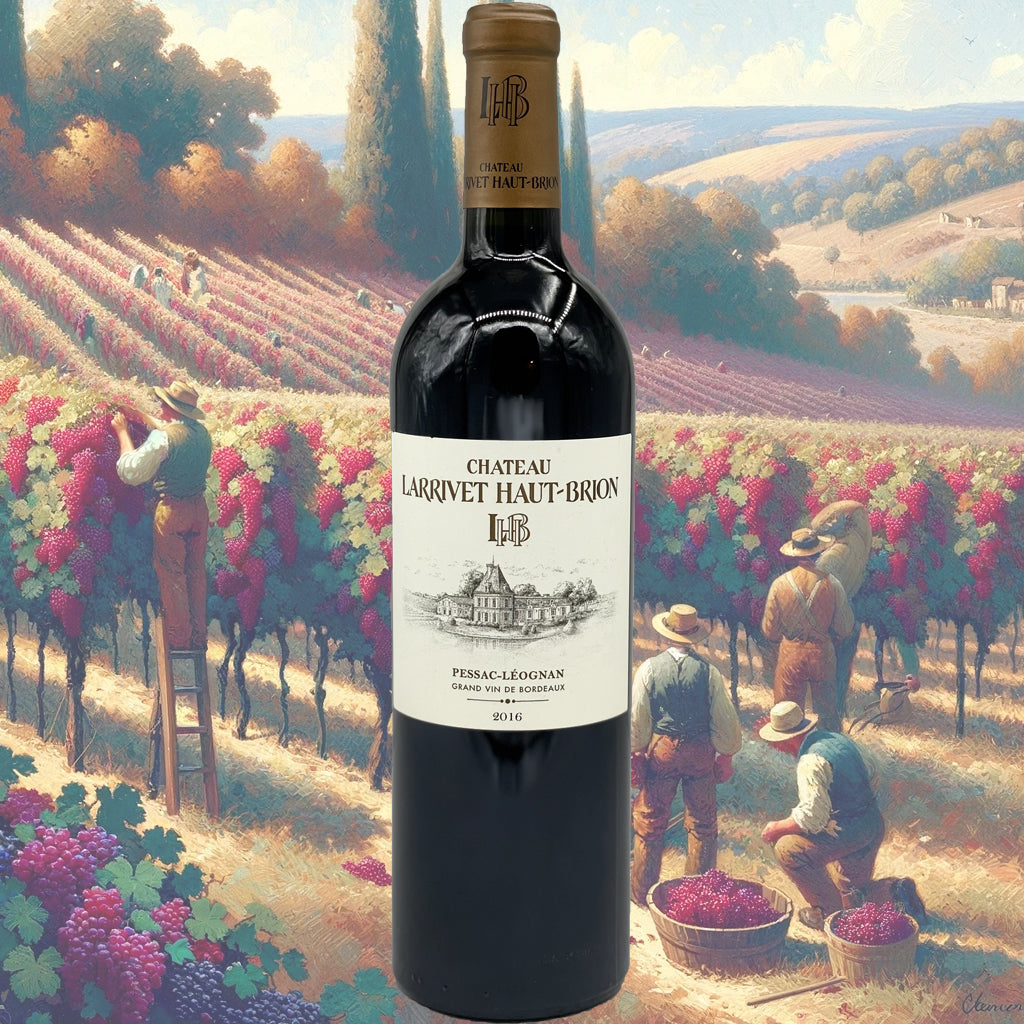 Château Larrivet Haut-Brion - 2016 - Vin de Pessac-Léognan