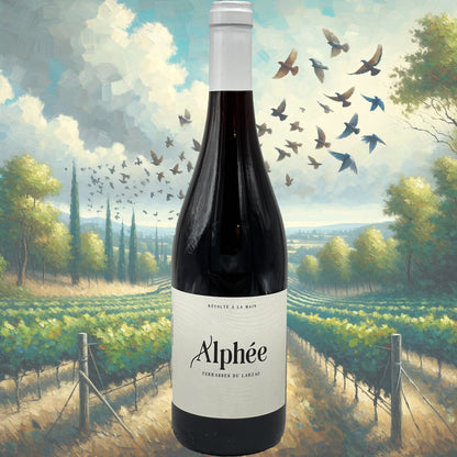 Mas des Disciples - Alphée - 2016 - Vin des Terrasses du Larzac