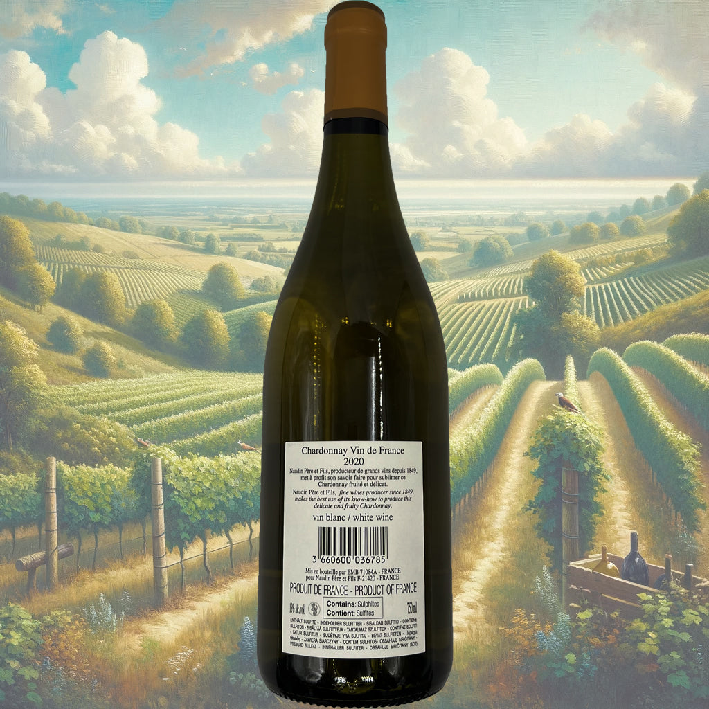 Naudin Père & Fils - Chardonnay - 2020 - Vin de France