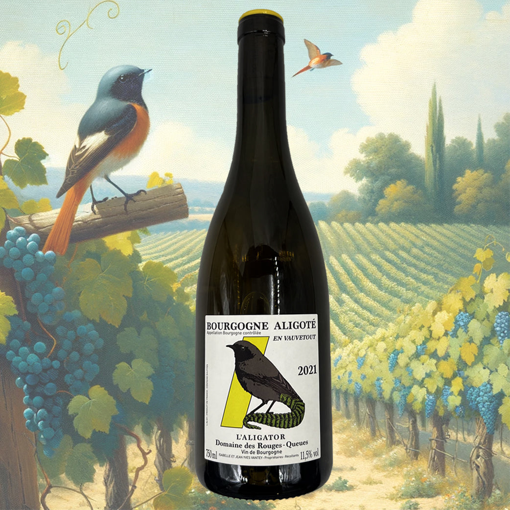 Domaine des Rouges-Queues - L'Aligator - 2021 - Vin de Bourgogne Aligo ...
